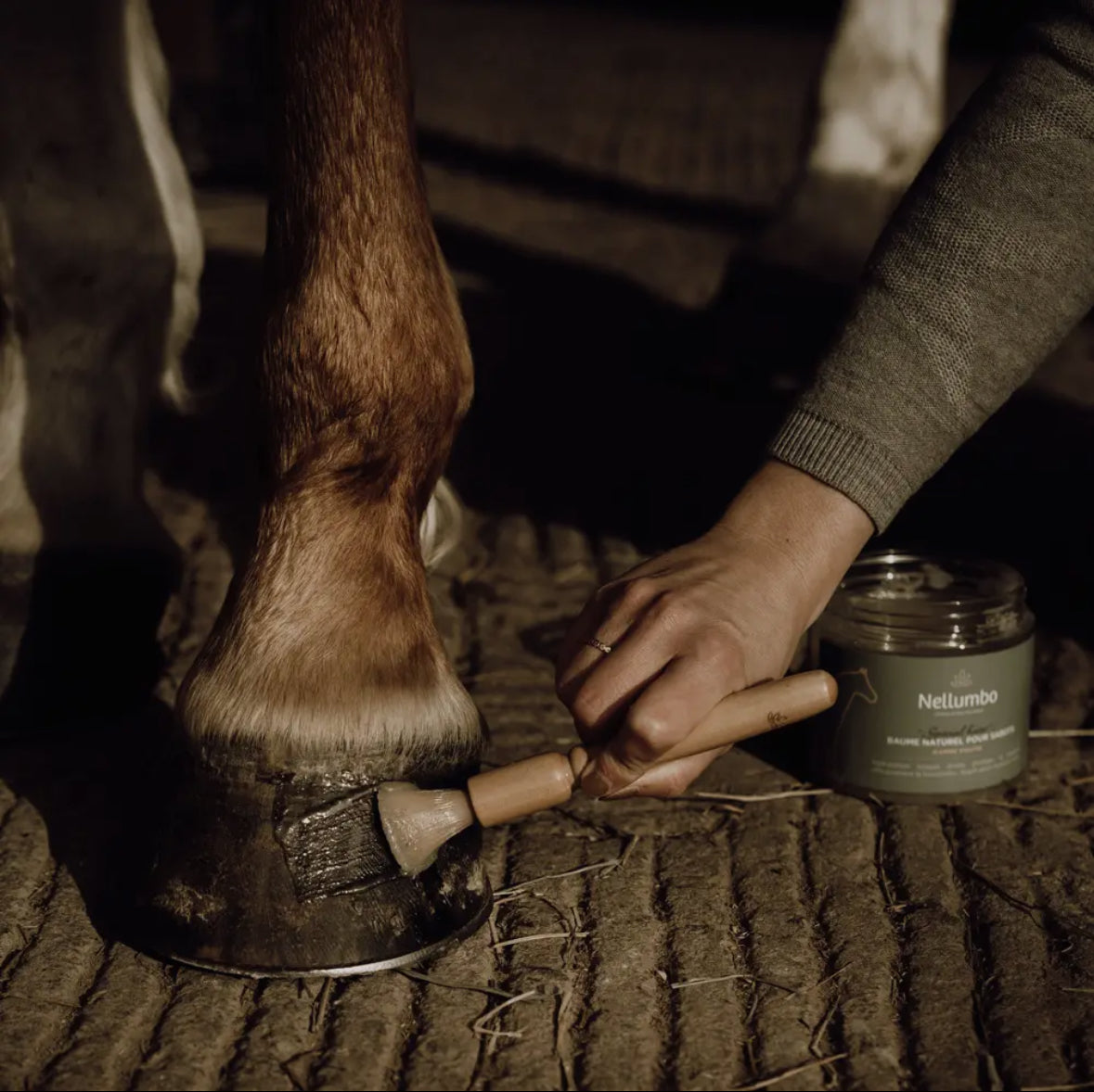 Hoof Balm Brush