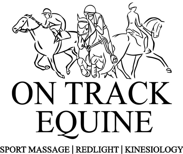 On Track Equine