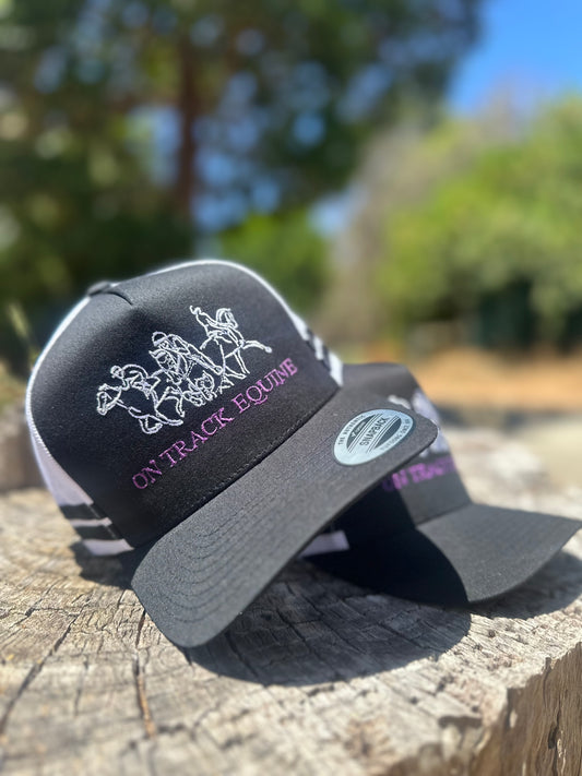 On Track Equine Trucker