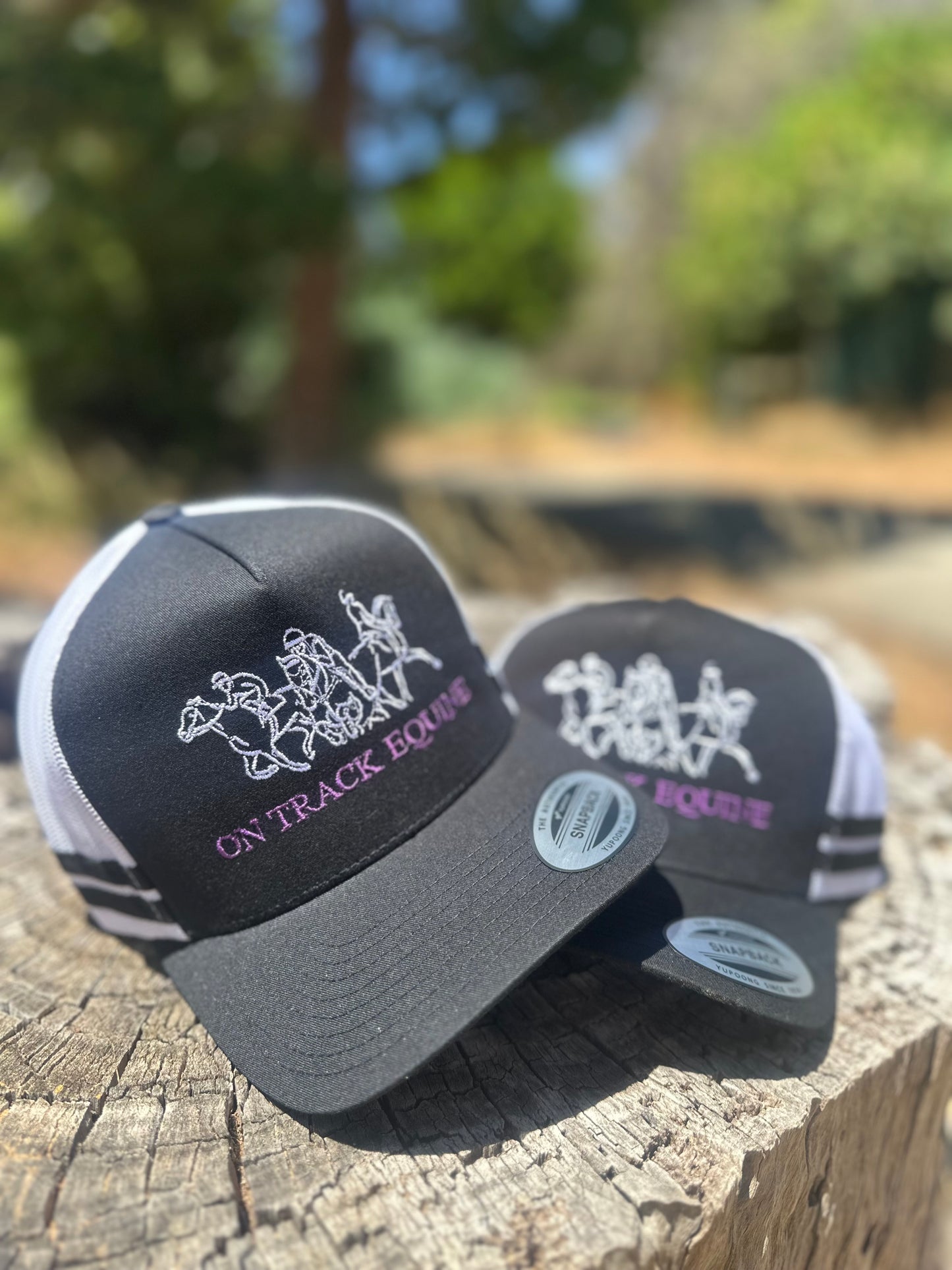 On Track Equine Trucker